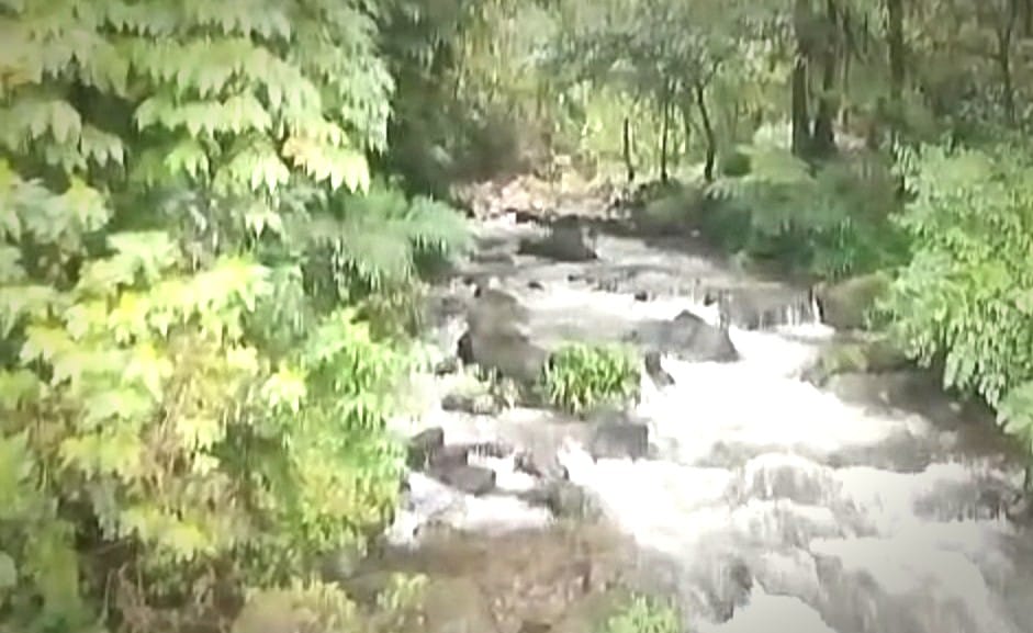 Img 20220910 Wa0025