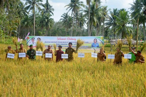 IMG 20221129 WA0017 copy 499x332