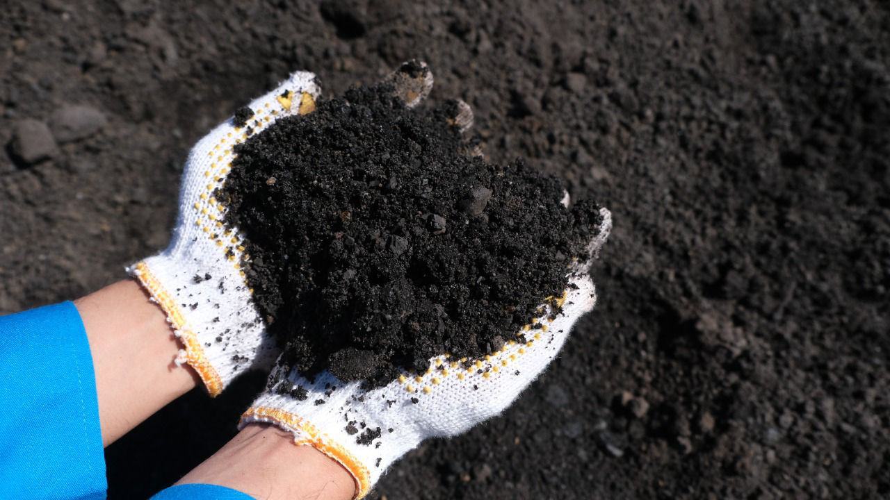 Img 20230727 Wa0091 Copy 1280x720