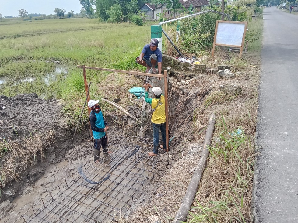 Img20251030101044 copy 979x734