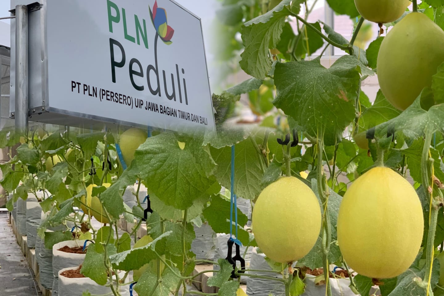 WhatsApp Image 2026 01 06 at 20.22.52