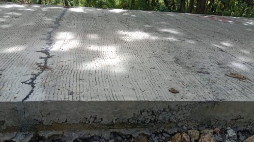 IMG 20260227 WA0017 scaled1 copy 499x280